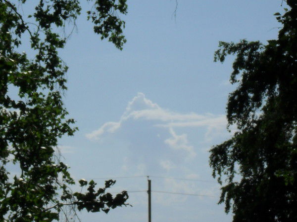 Ольга Балбачан