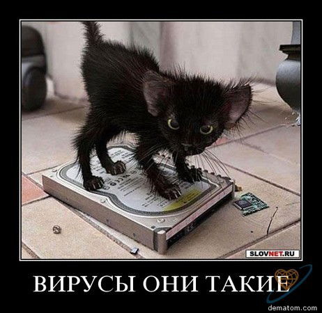 Дмитрий Сирко