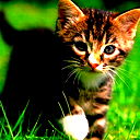 Евгений Федотов