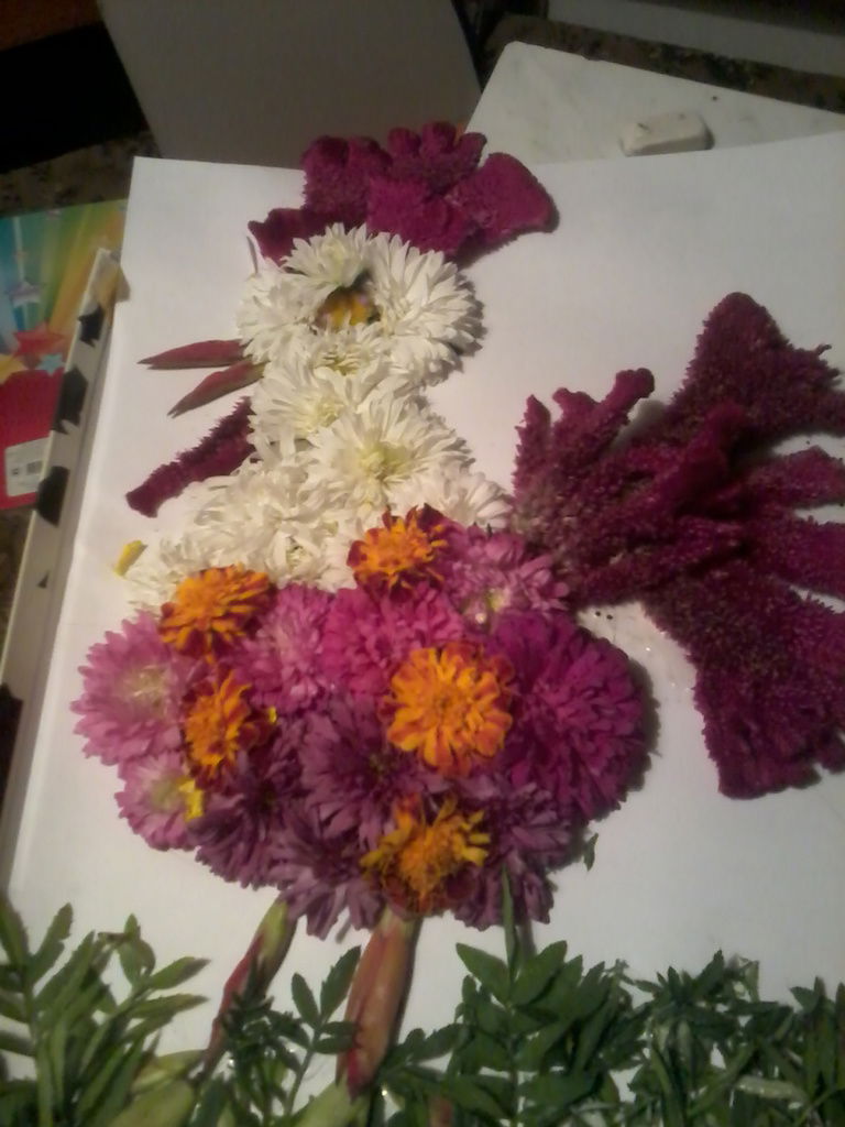 Екатерина Макеева