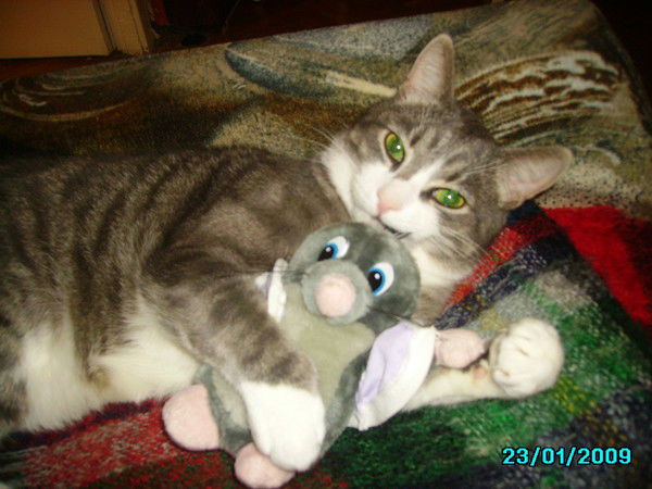 Аксенова Елена