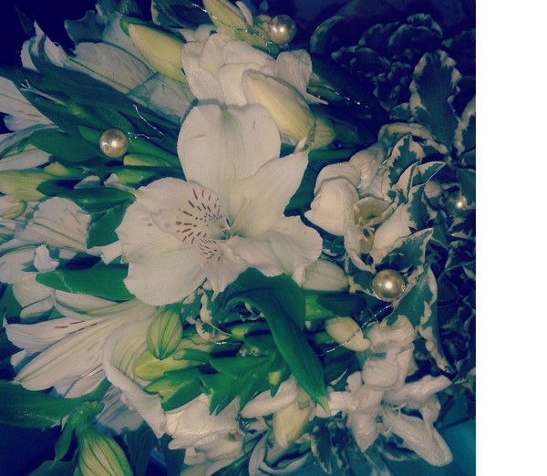 Ирина Бабкова