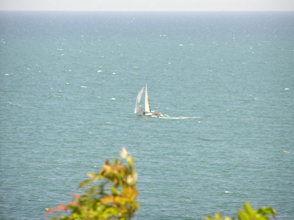 Михаил Шакутин