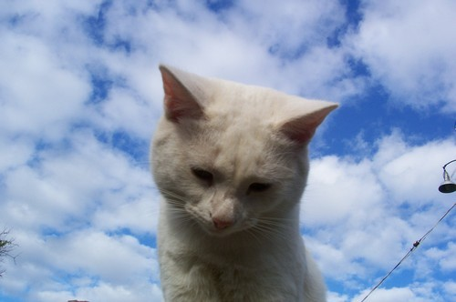 Оксана Павлова