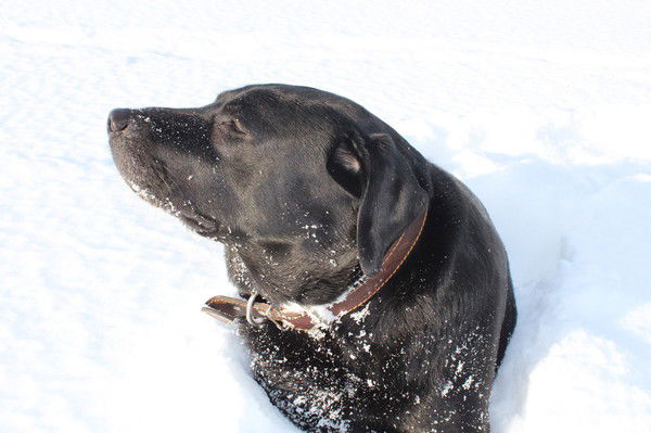 Пономарёва Наталья