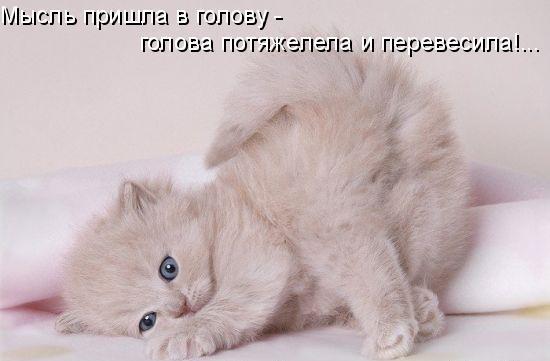 Наталья Касаткина