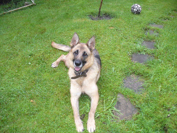 Ивашкевич Ольга