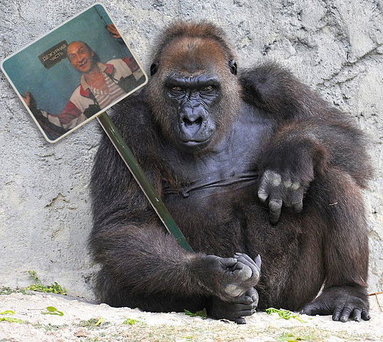 Валерий Касимов