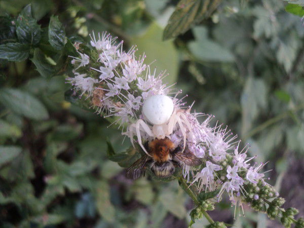 Лариса Мухтарова