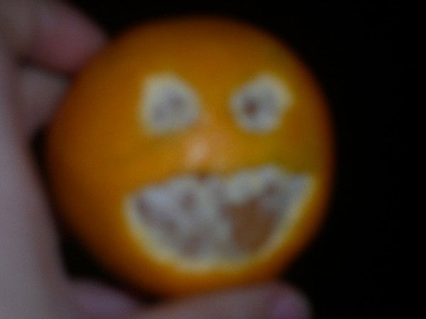 Оксана Градович