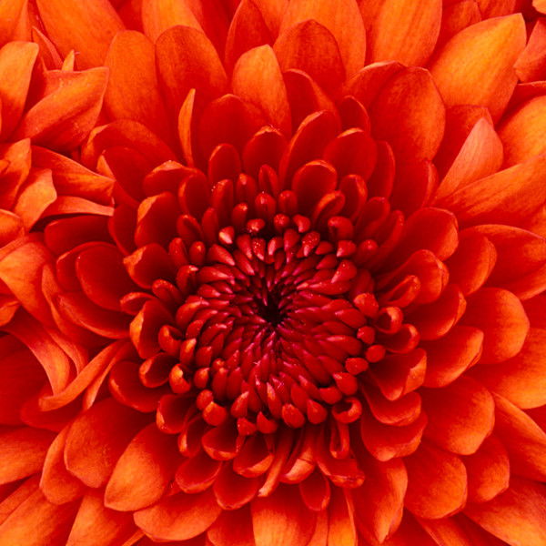 Евгений Блохин