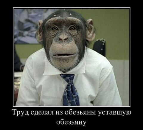 Сергей Брындин