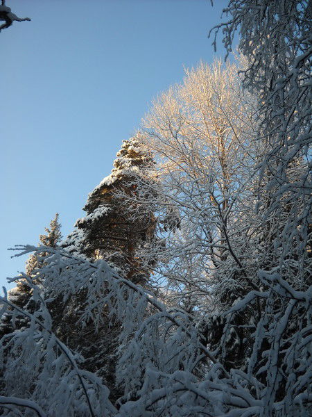 Малов Александр