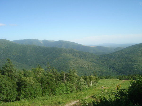 Чингиз Калимбетов