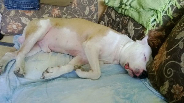 Парахневич Артём