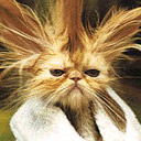 Александр Манахов