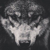 Эмиль Давлетов