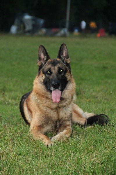 Вика Петлина