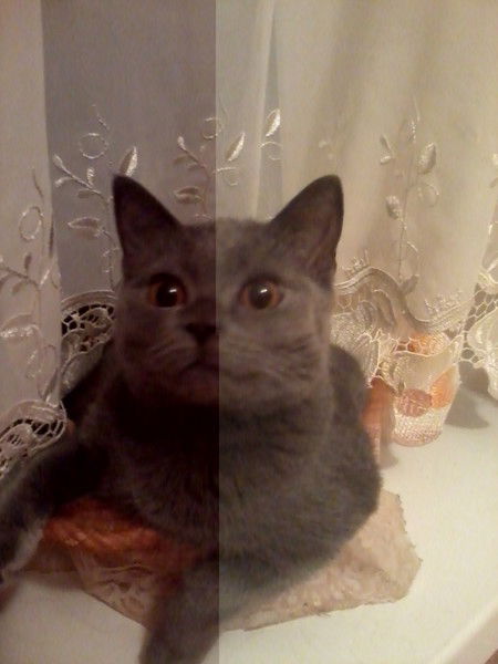 Анастасия Борисовна