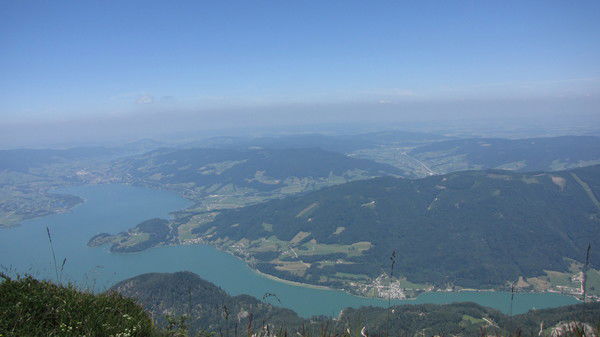 Dmitry Vladimorovich