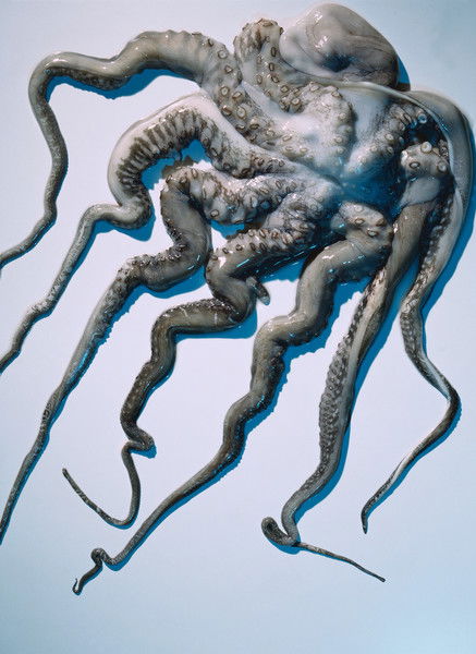 Алексей Акулинин