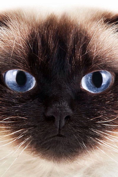 Штейнгарт Любовь