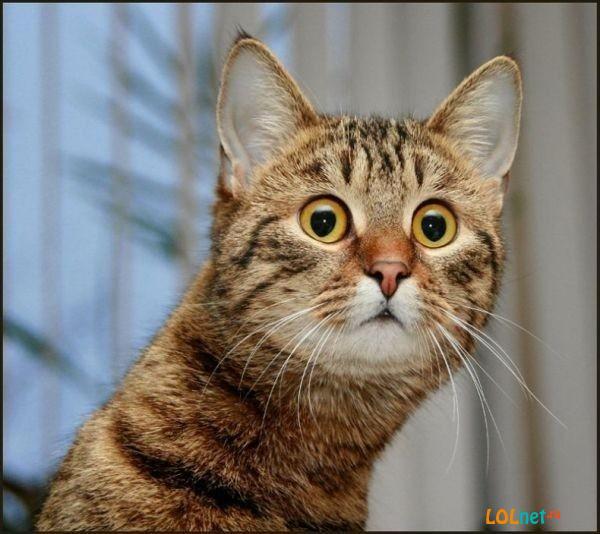 Юрий Максименко