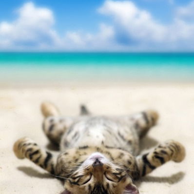 Ольга Новицкая