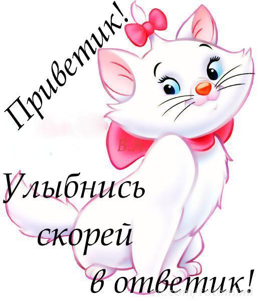 Что пришил айболит зайчику. Смотреть фото Что пришил айболит зайчику. Смотреть картинку Что пришил айболит зайчику. Картинка про Что пришил айболит зайчику. Фото Что пришил айболит зайчику