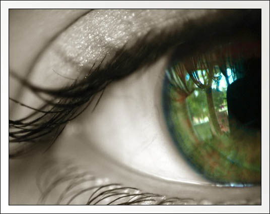 Анна Корепанова