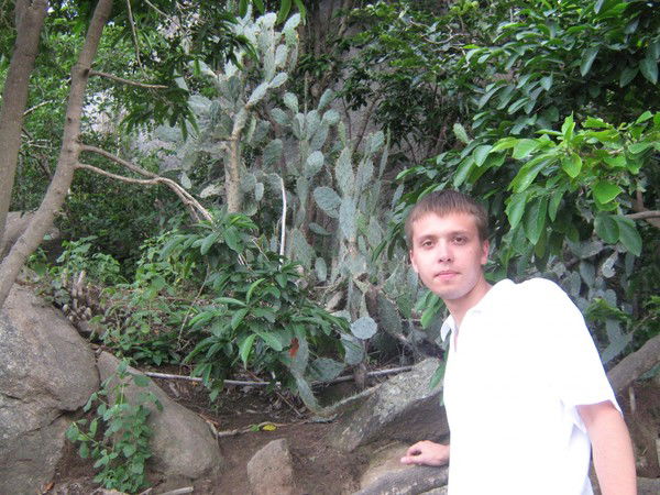 Антон Корнилов