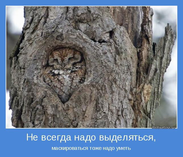 Алексей Булдыгин