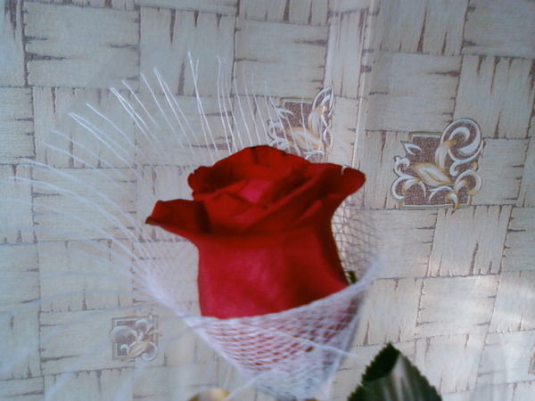 Татьяна Червона