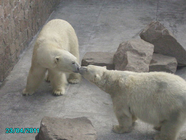 Светлана Владимировна