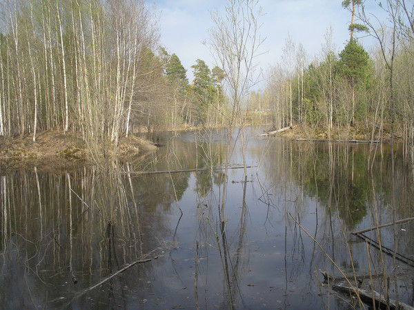 Зоя Видинеева