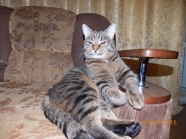 Олег Селезнёв