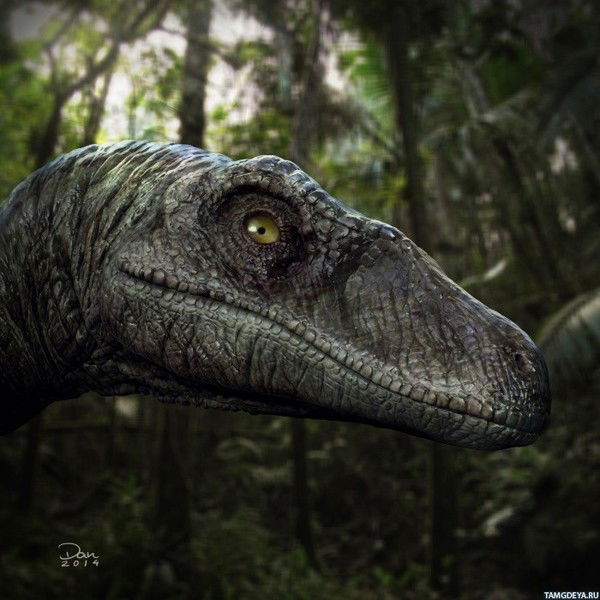 Вячеслав Семенович