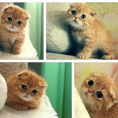 Снежана Нигматуллина