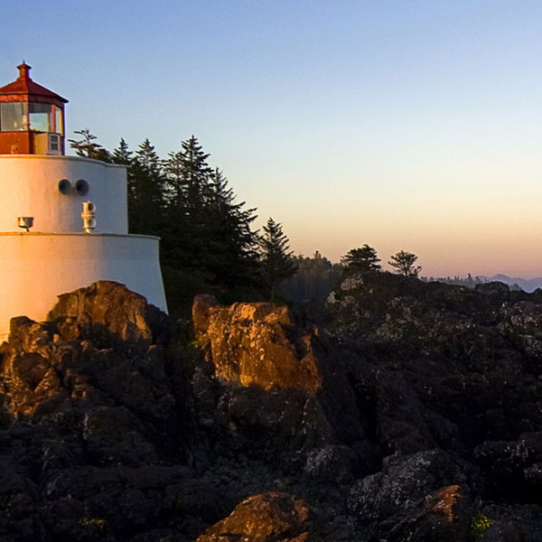 Лара Егорова