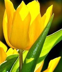 Ирина Клепикова