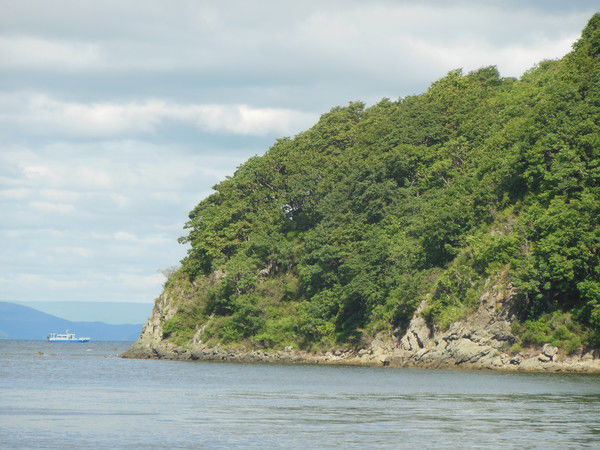 Сергей Литвиненко