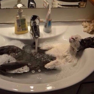 Николай Лисицын