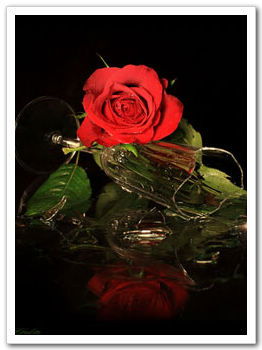 Зульфия Ильясова