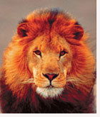 Сергей Суковатицын