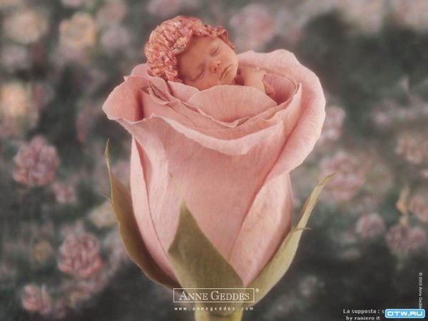 Оксана Сивченко