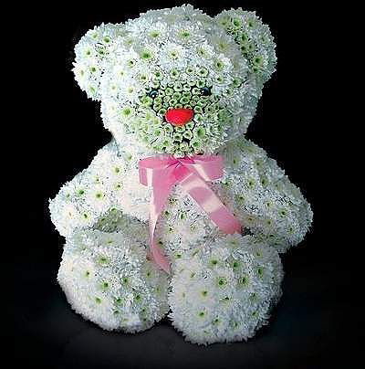 Алена Тимошенко