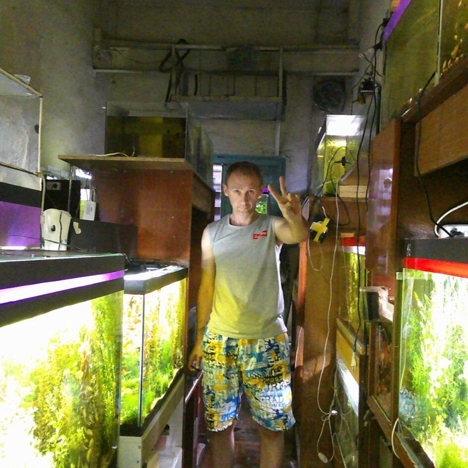 Александр Солдатов