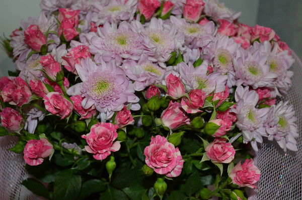 Наталия Кузьбожева