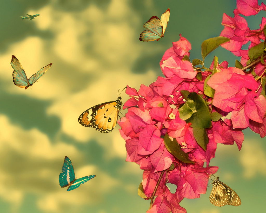 Надежда Челембиенко