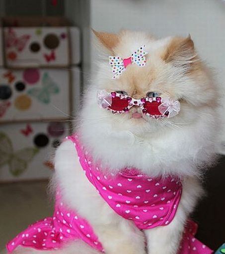 Оля Ратиёва